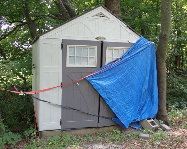 Auction listing photo